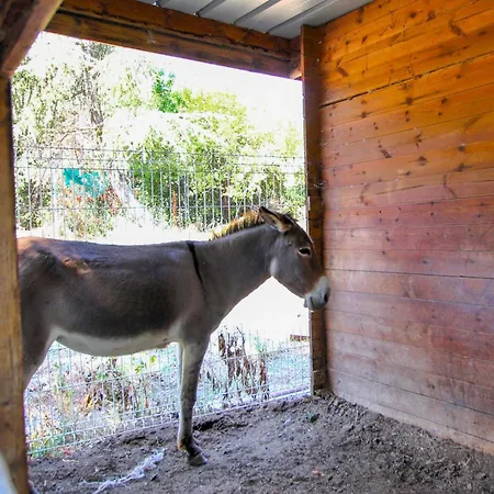 1 Bedroom Pet Friendly In Holiday home *