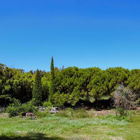 1 Bedroom Pet Friendly In Holiday home Aubenas