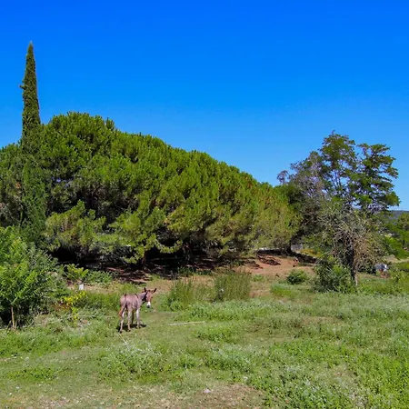 Holiday home 1 Bedroom Pet Friendly In