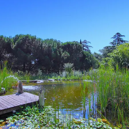 1 Bedroom Pet Friendly In Holiday home *